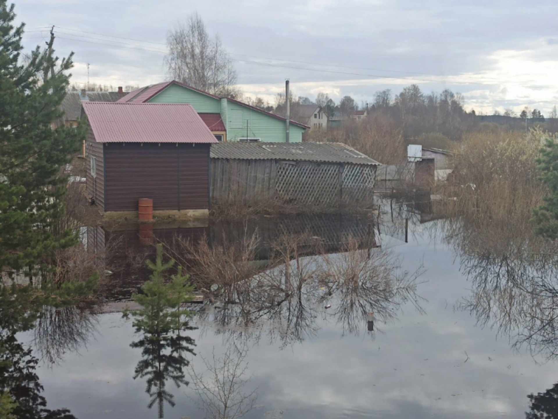 Хвойная пестово. Хвойная Новгородская область. Посёлок Хвойная Новгородская область.